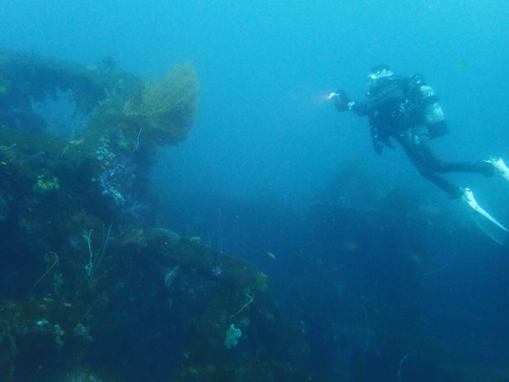 土肥ダイビング 八木沢沖魚礁 