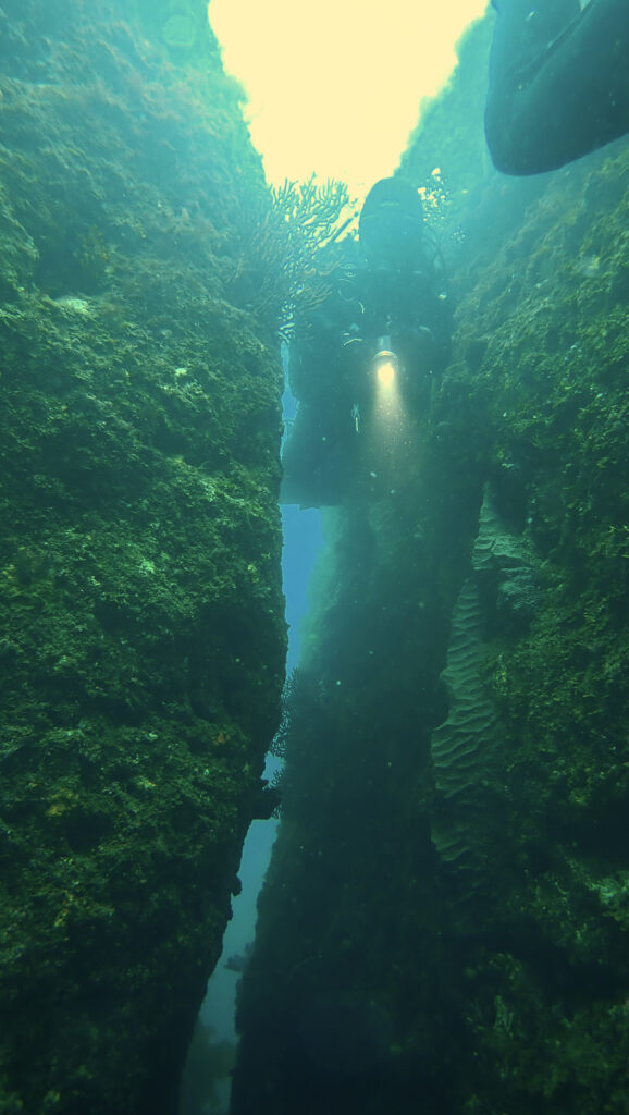 土肥ダイビング 八木沢離れ島