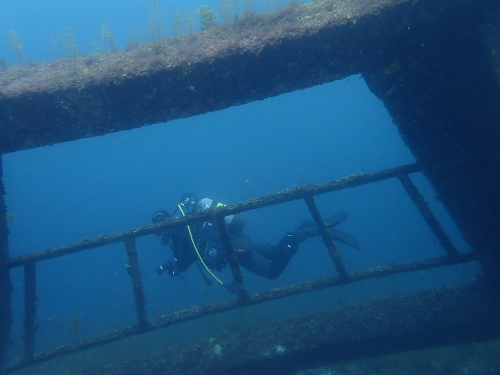 土肥ダイビング 八木沢離れ島 六角台形魚礁