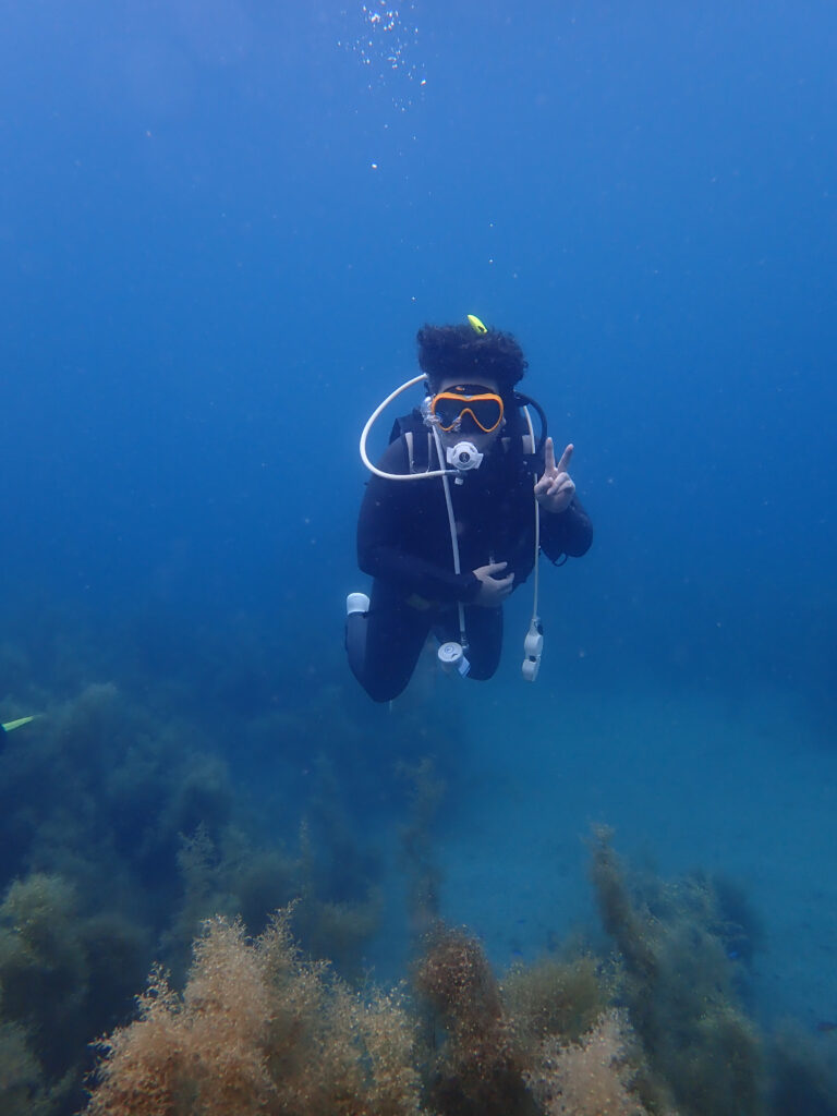 土肥ダイビング 通り崎湾内 通り崎ビーチ 海藻地帯 OWコース