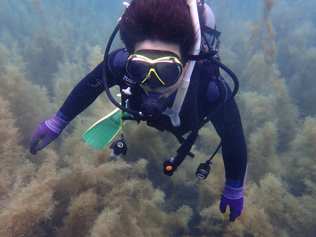 土肥ダイビング 通り崎湾内 通り崎ビーチ 海藻地帯 OWコース