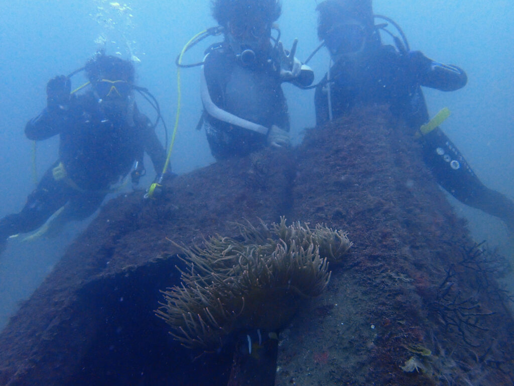 土肥ダイビング 通り崎湾内 通り崎ビーチ 海藻地帯 OWコース