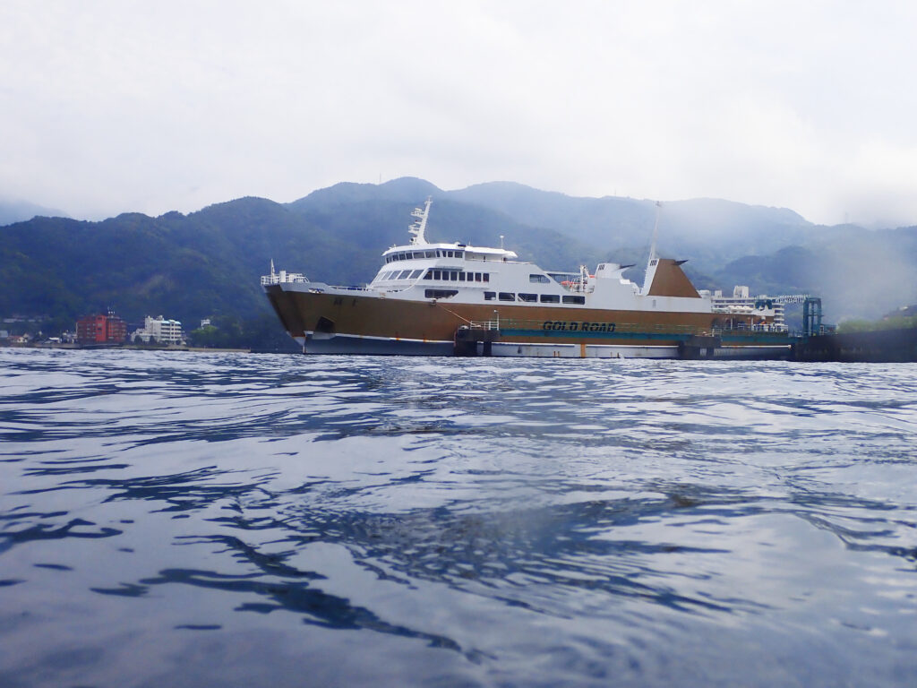 土肥ダイビング 通り崎 通り崎湾内 通り崎沈船
通り崎お花畑 駿河湾フェリー