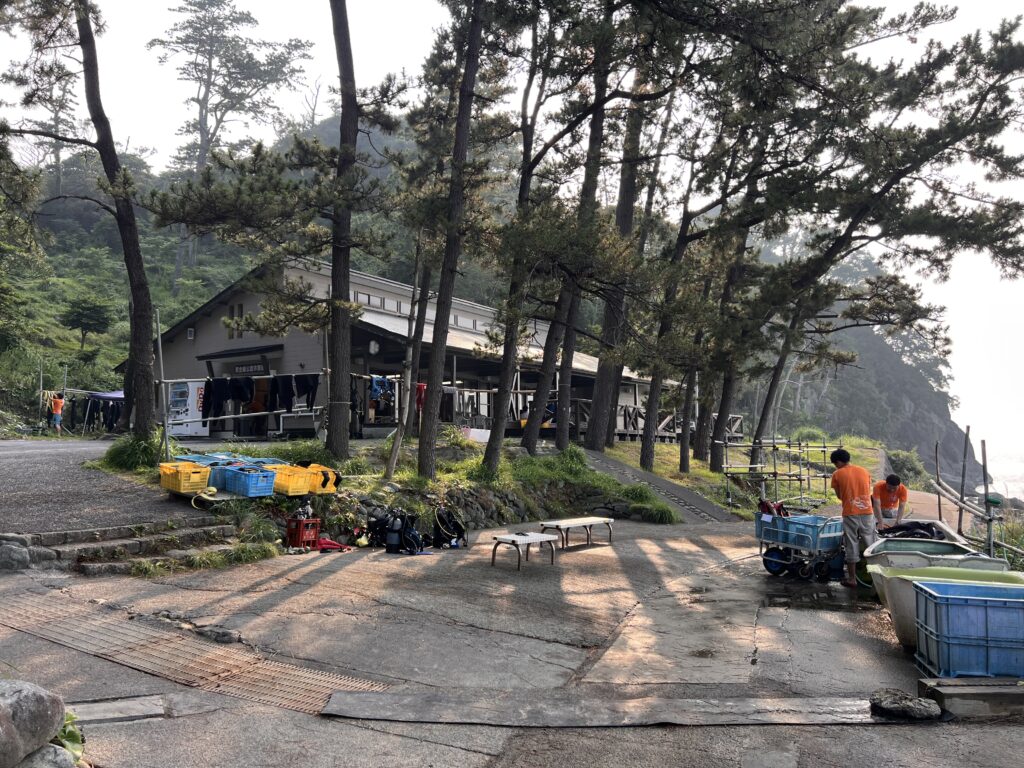 黄金崎ダイビングレポート　黄金崎公園ビーチ