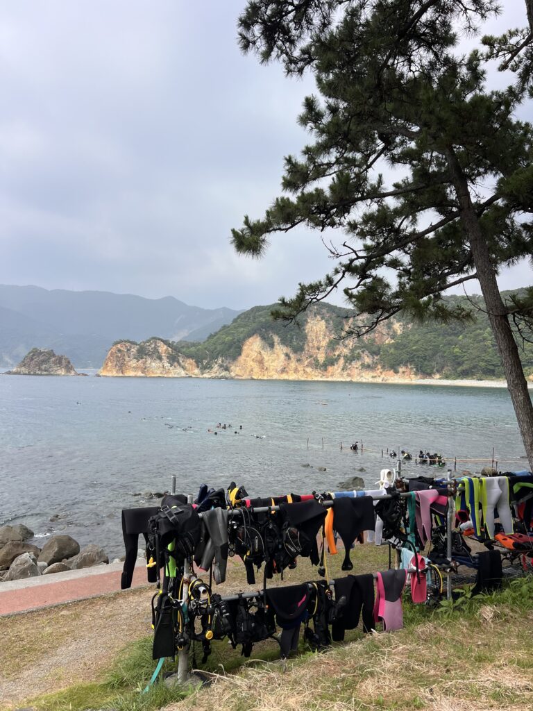 黄金崎公園ビーチ