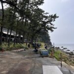 黄金崎公園ビーチ