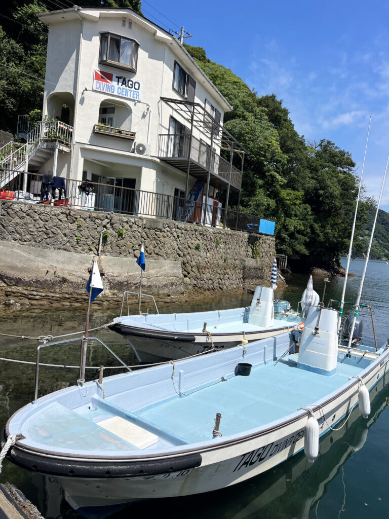田子ダイビング　田子ダイビングセンター 田子時間