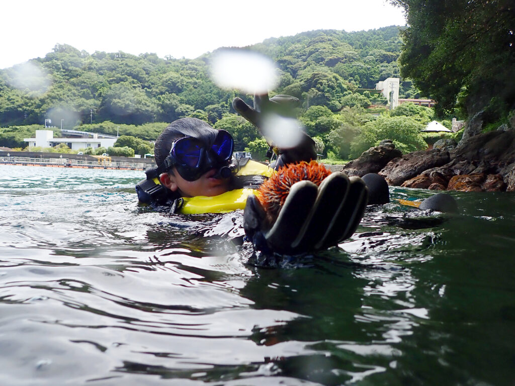 土肥ダイビング　親子スノーケリング　通り崎湾内　通り崎ビーチ