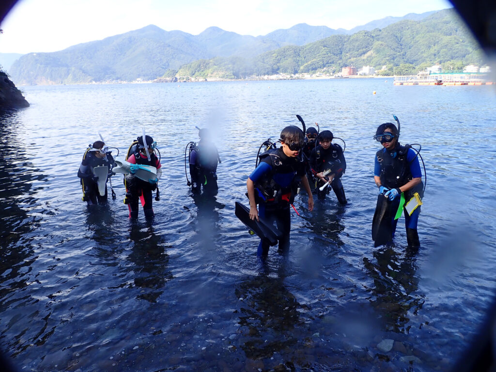 土肥ダイビング 専修大学スキンダイビングクラブCORAL1年生ライセンス合宿