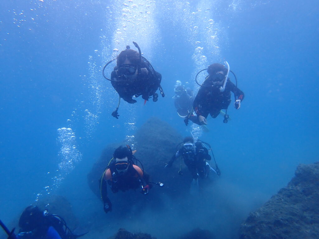 土肥ダイビング 通り崎ビーチ 専修大学スキンダイビングクラブCORAL 1年生ライセンス合宿