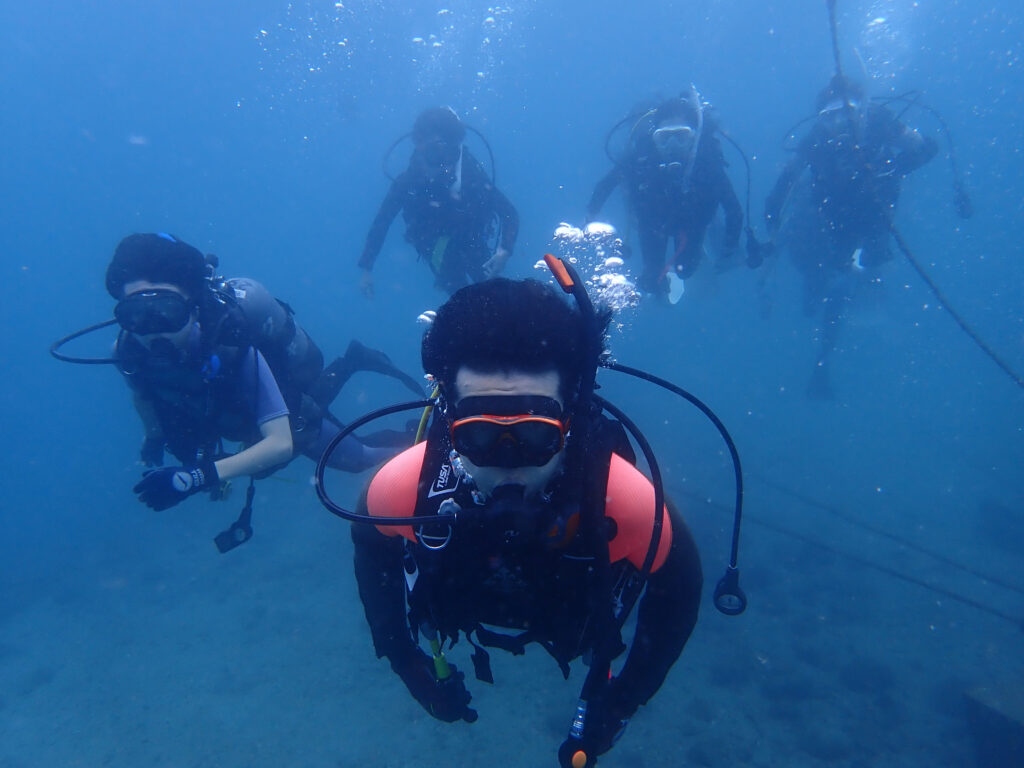 土肥ダイビング　通り崎湾内　専大CORALライセンス合宿
