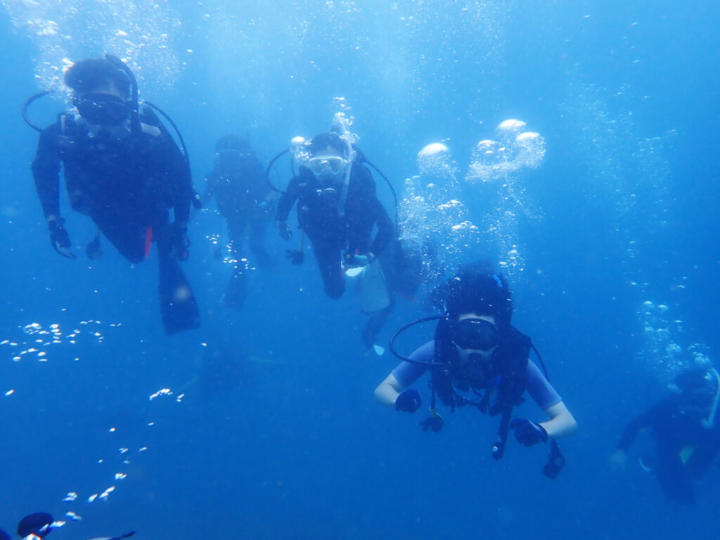 土肥ダイビング　通り崎湾内　専大CORALライセンス合宿