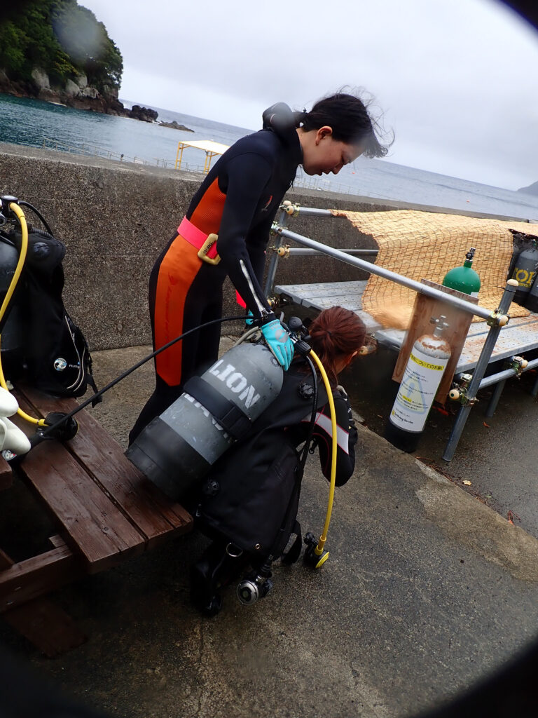 土肥ダイビング　通り崎湾内　専大CORALライセンス合宿