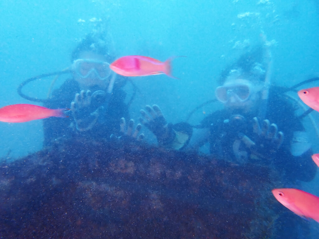 土肥ダイビング　通り崎湾内　専大CORALライセンス合宿