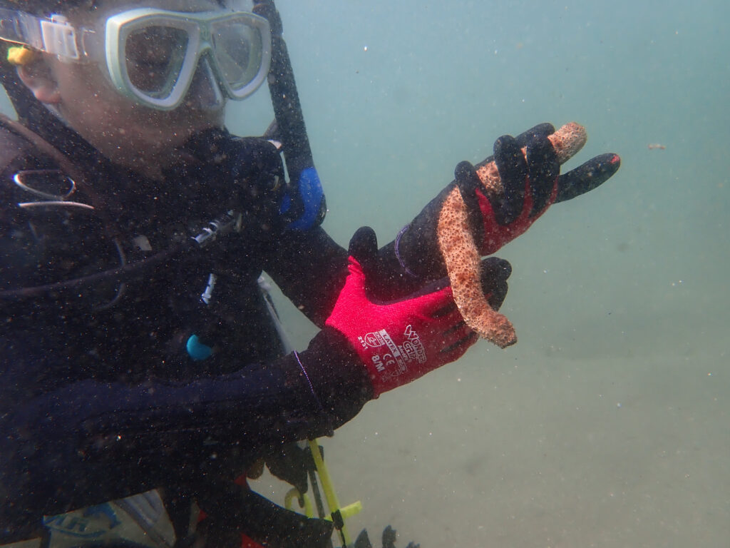 土肥ダイビング 通り崎ビーチ のんびりファミリーダイブ