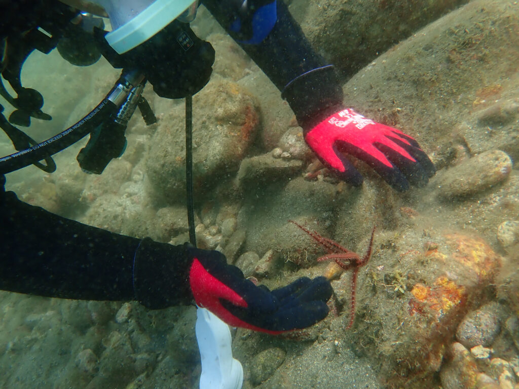 土肥ダイビング 通り崎ビーチ のんびりファミリーダイブ