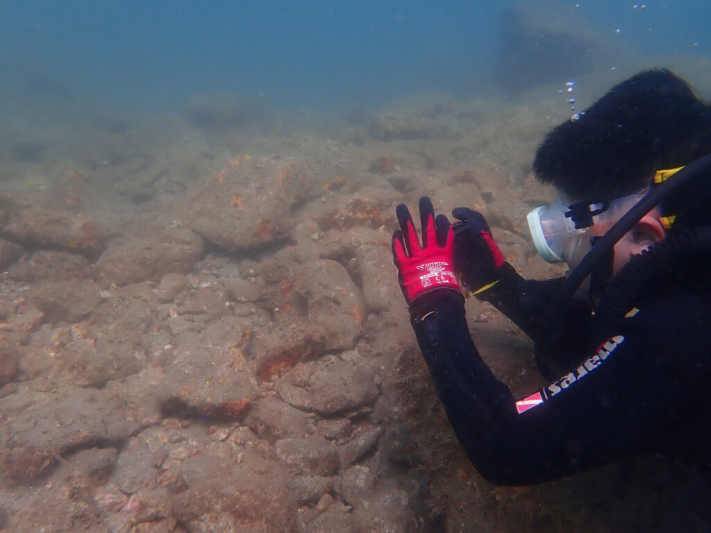 土肥ダイビング 通り崎ビーチ ファミリーのんびりダイビング