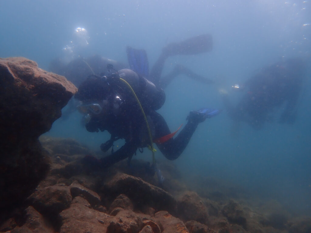 土肥ダイビング 通り崎ビーチ ファミリーダイビング