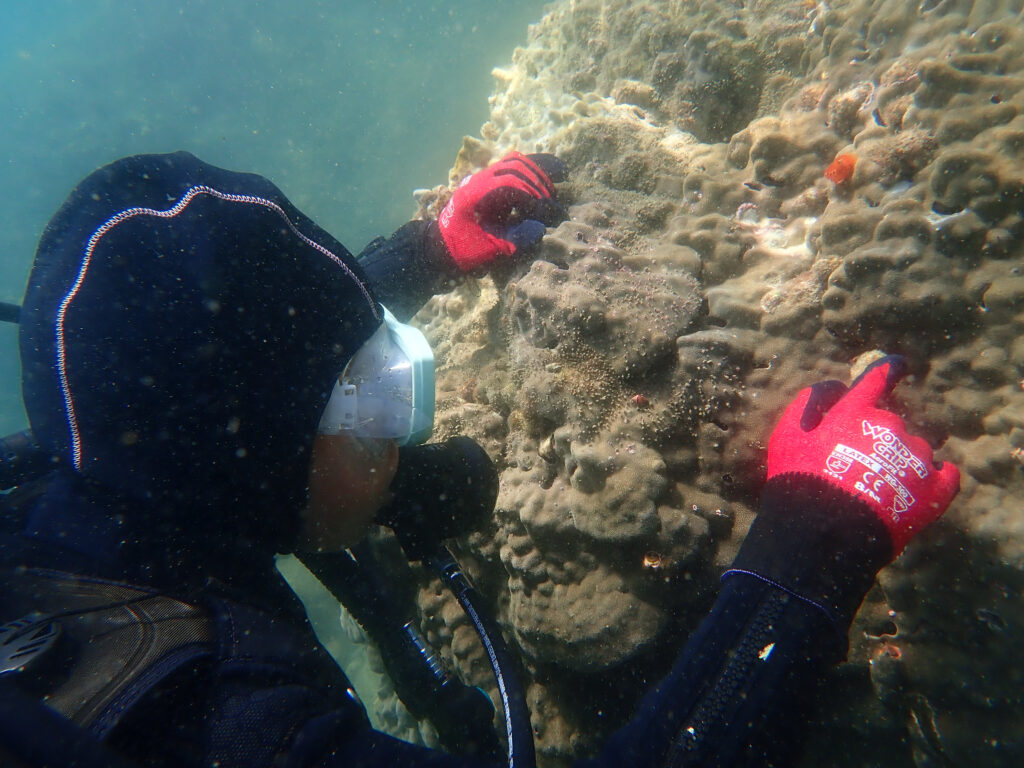 土肥ダイビング 通り崎ビーチ ファミリーのんびりダイビング