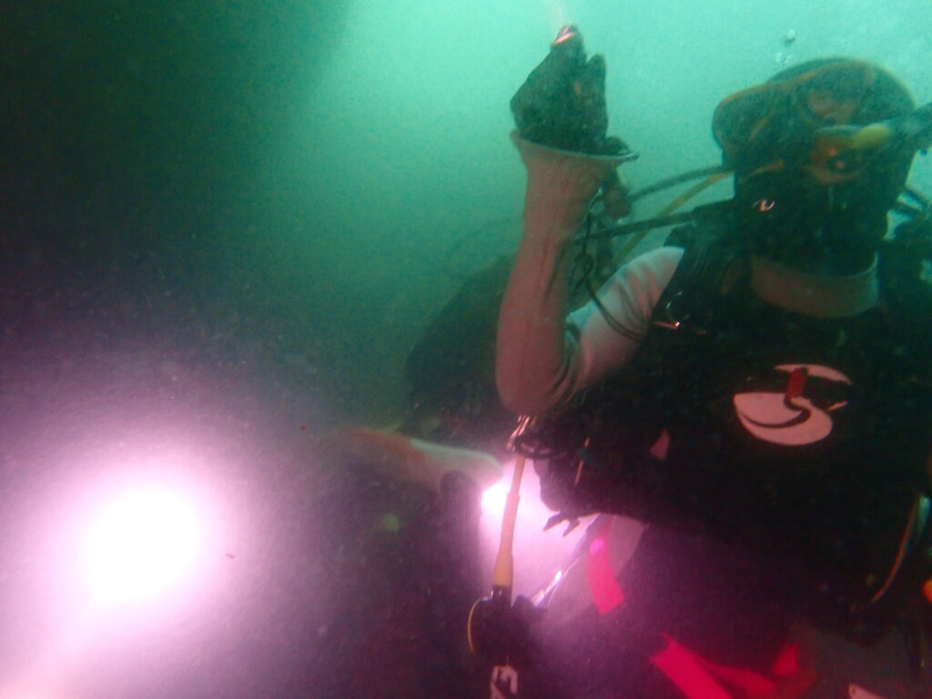 雲見ダイビング 牛着岩 法政アクアダイビングクラブ