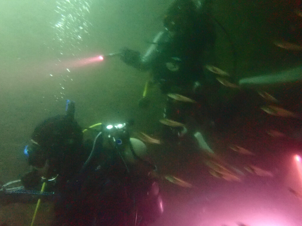 雲見ダイビング 牛着岩 法政アクアダイビングクラブ