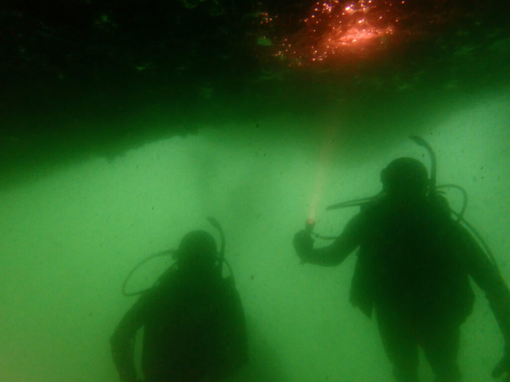 雲見ダイビング 牛着岩 法政アクアダイビングクラブ