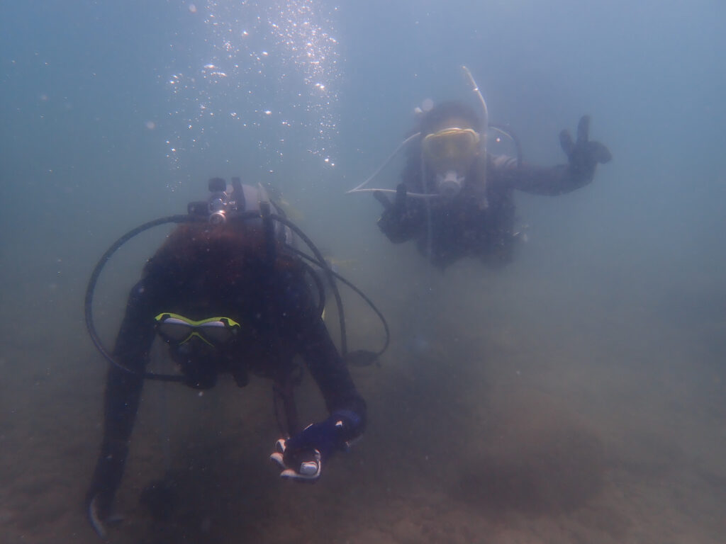 土肥ダイビング 通り崎ビーチ OWコース