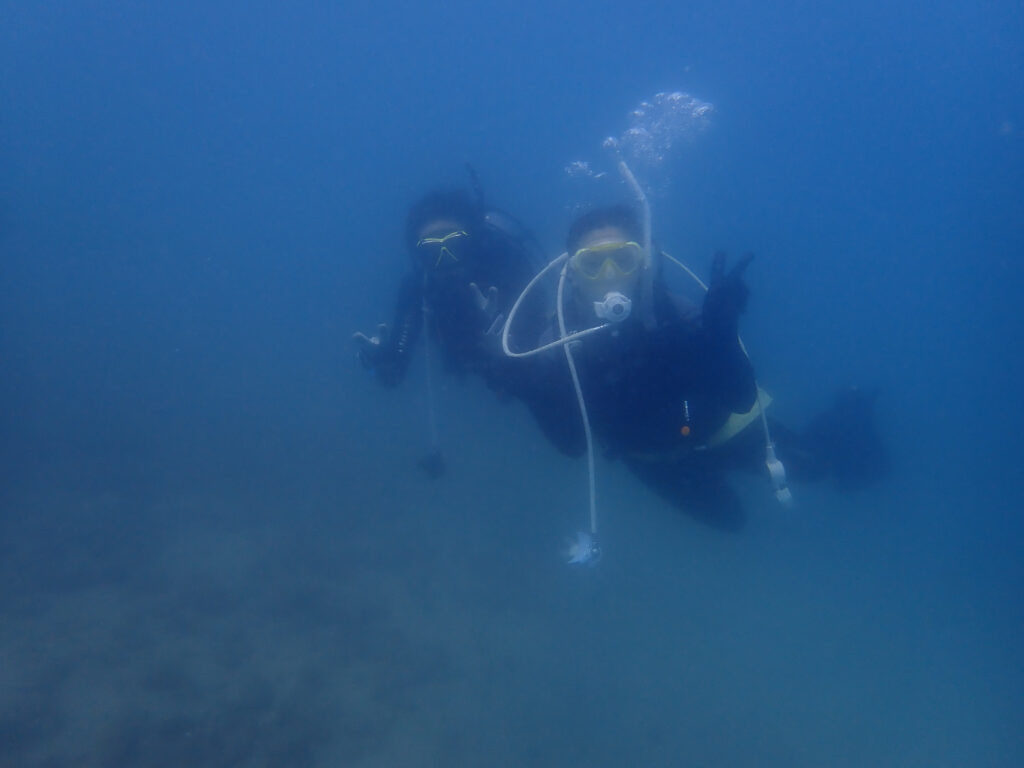 土肥ダイビング 通り崎湾内 OWコース