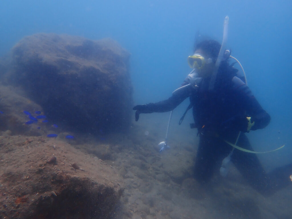 土肥ダイビング 通り崎湾内 OWコース