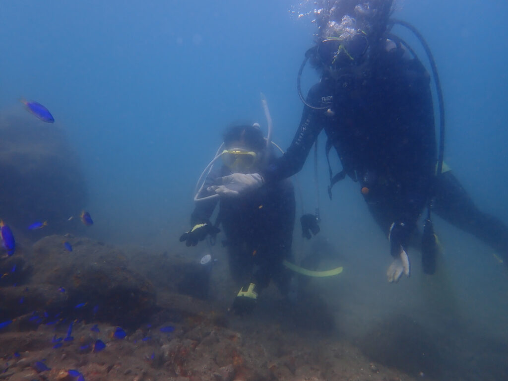 土肥ダイビング 通り崎湾内 OWコース