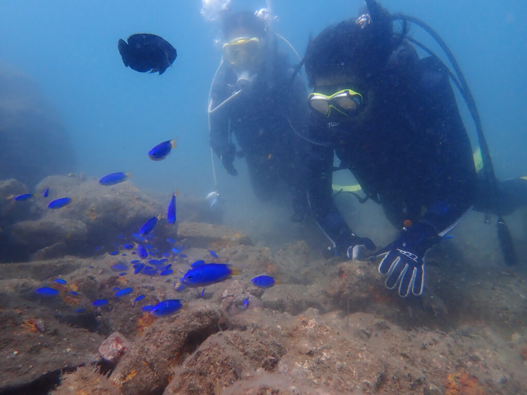 土肥ダイビング 通り崎湾内 OWコース