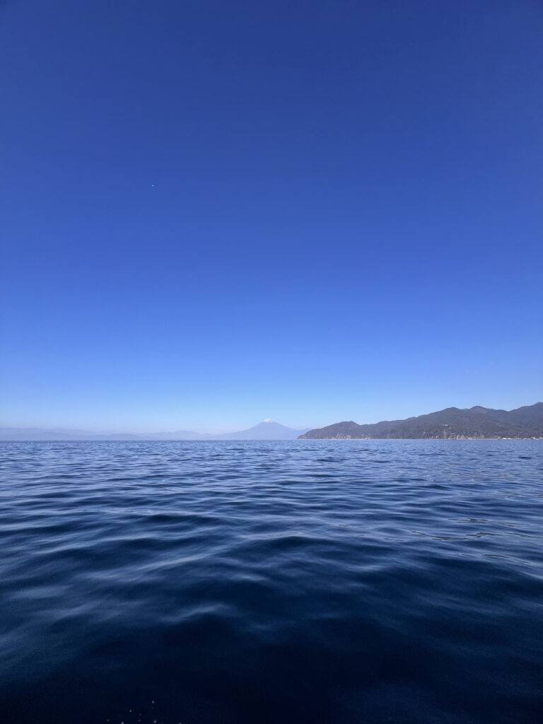 駿河湾から立ち上がる富士山