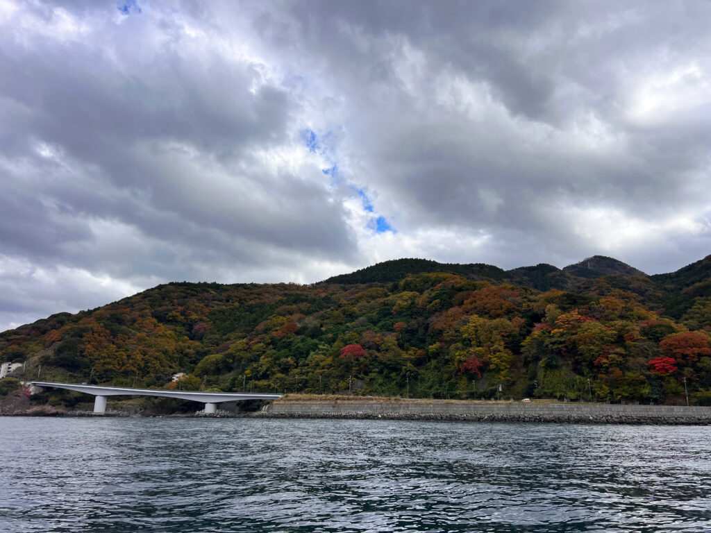 駿河湾 西伊豆八木沢 山は紅葉