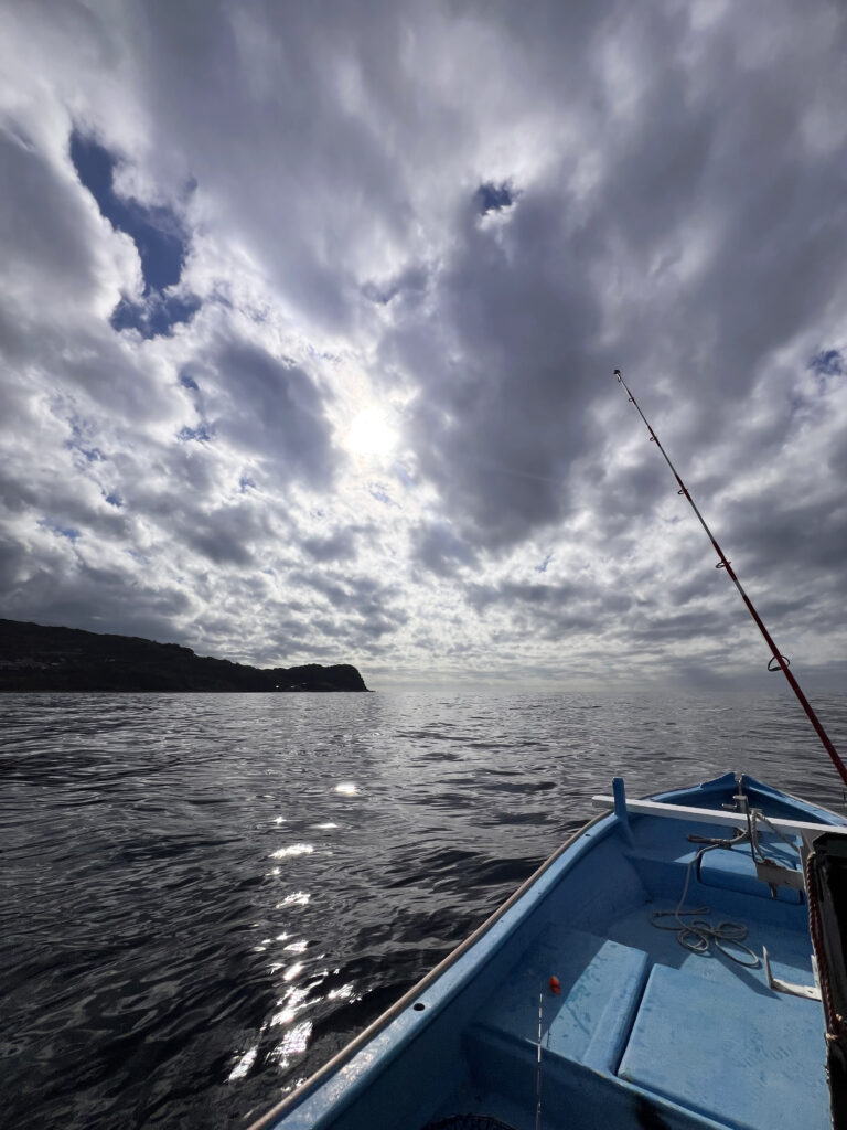 駿河湾 西伊豆八木沢