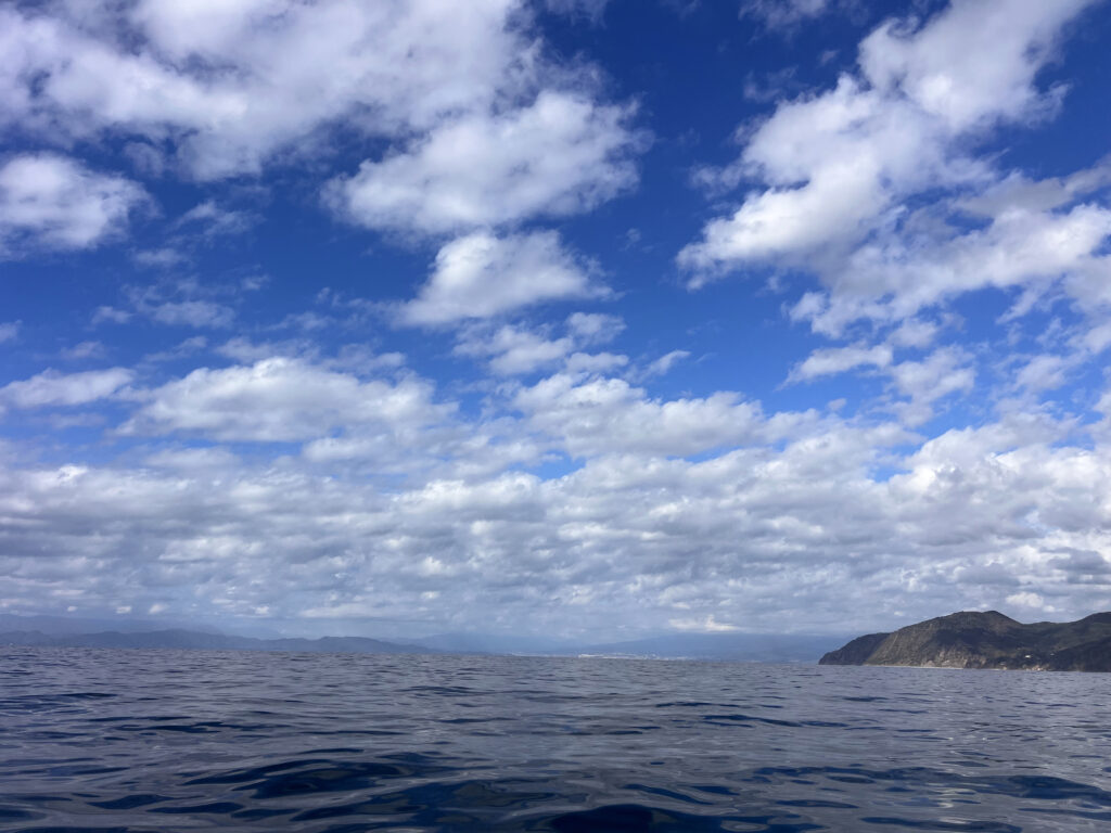 駿河湾　西伊豆八木沢