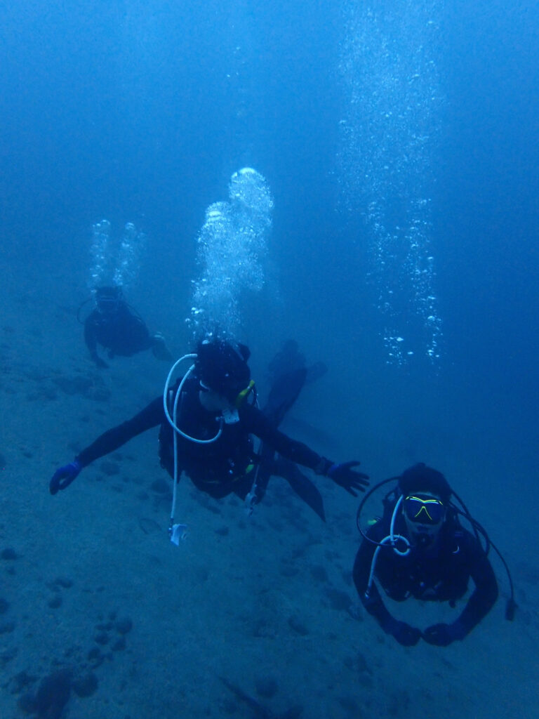 土肥ダイビング　通り崎　アドバンスコース