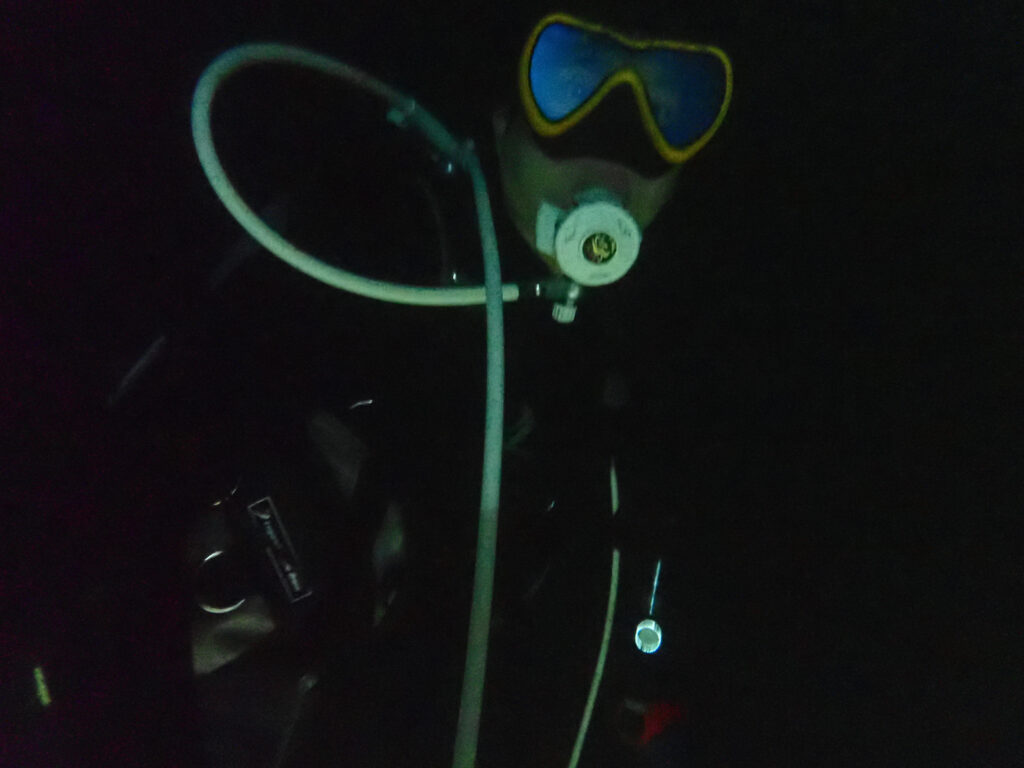 土肥ダイビング　通り崎　ナイトダイブ　アドバンスコース