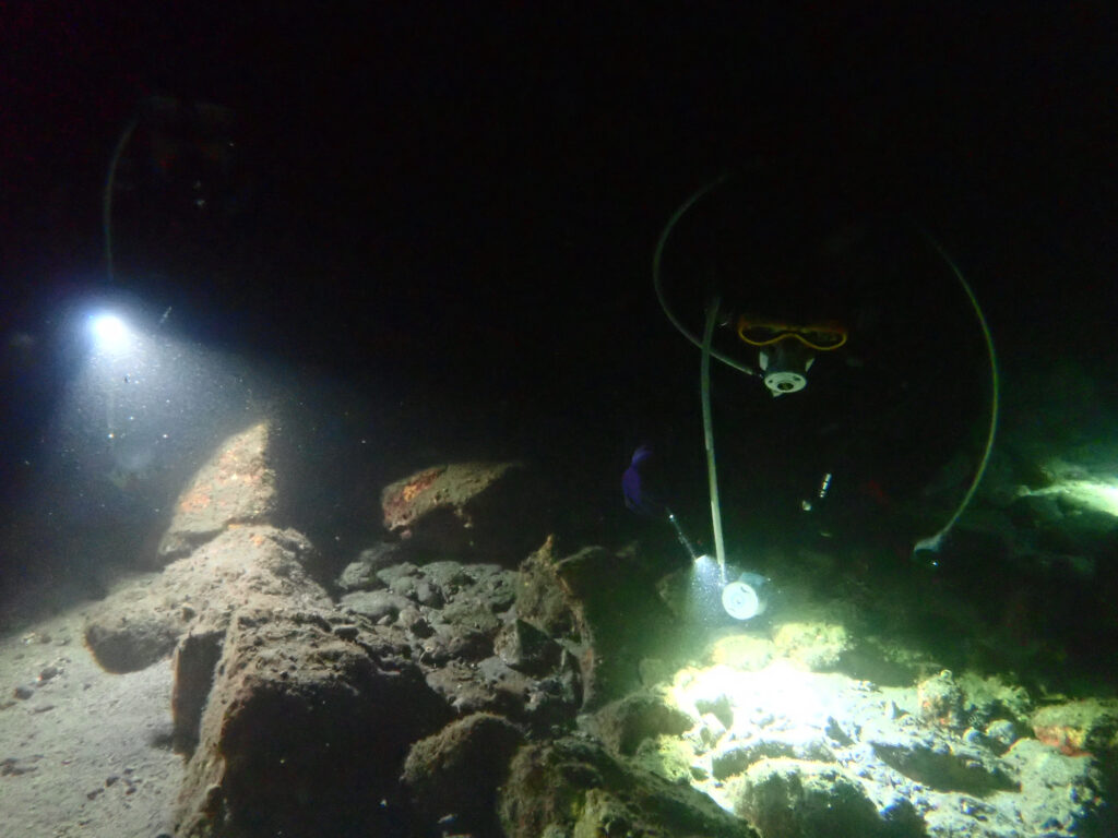 土肥ダイビング　通り崎　ナイトダイブ　アドバンスコース