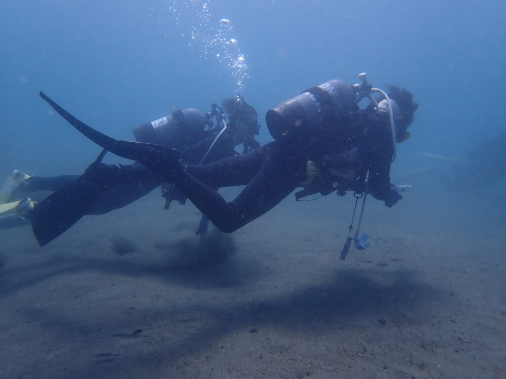 土肥ダイビング　通り崎ビーチ　アドバンスコース　ナビゲーションダイブ
