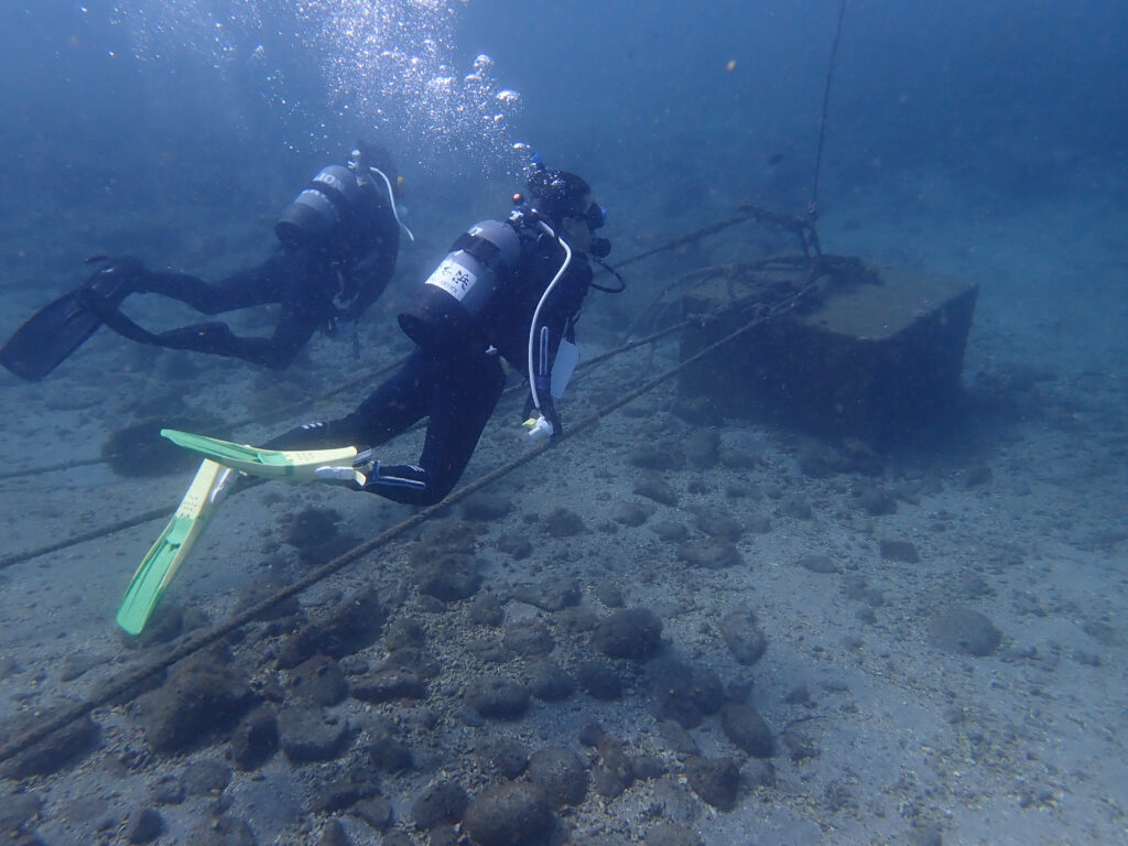 土肥ダイビング　通り崎ビーチ　アドバンスコース　ナビゲーションダイブ