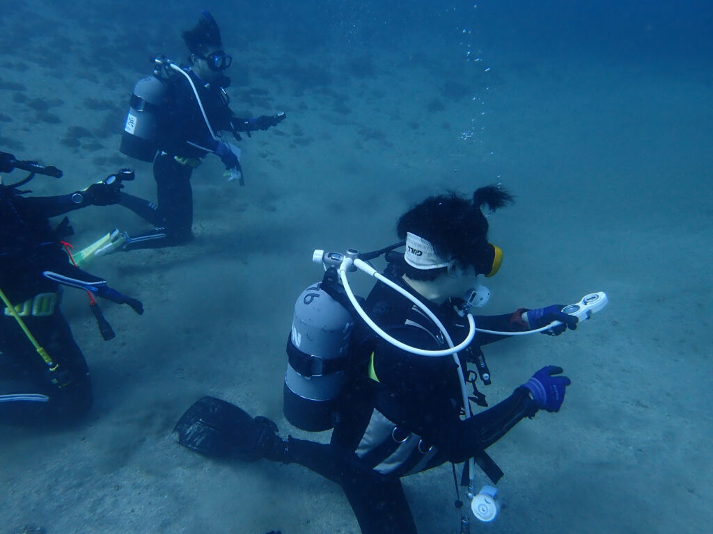 土肥ダイビング　通り崎ビーチ　アドバンスコース　ナビゲーションダイブ