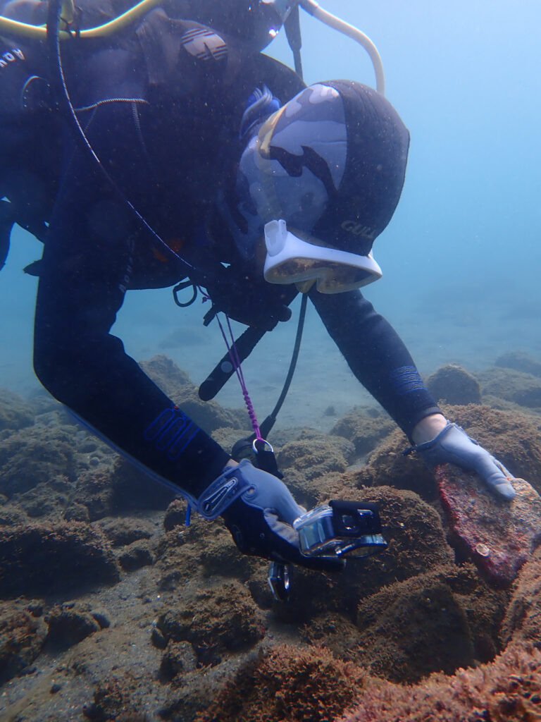 土肥ダイビング　通り崎ビーチ