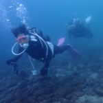 土肥ダイビング　通り崎ビーチ