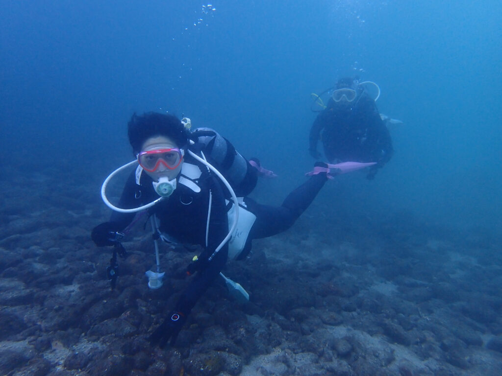 土肥ダイビング　通り崎ビーチ