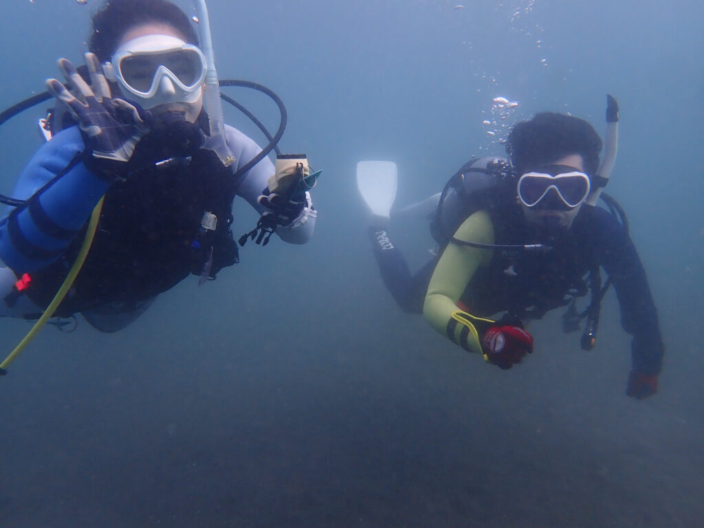 土肥ダイビング 通り崎ビーチ 専修大学スキンダイビングクラブCORAL