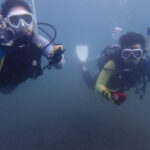 土肥ダイビング　通り崎ビーチ　専修大学スキンダイビングクラブCORAL