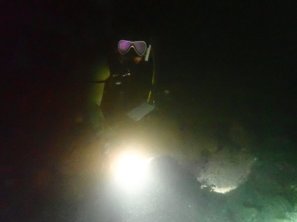 土肥ダイビング 通り崎ビーチ 専修大学スキンダイビングクラブCORAL