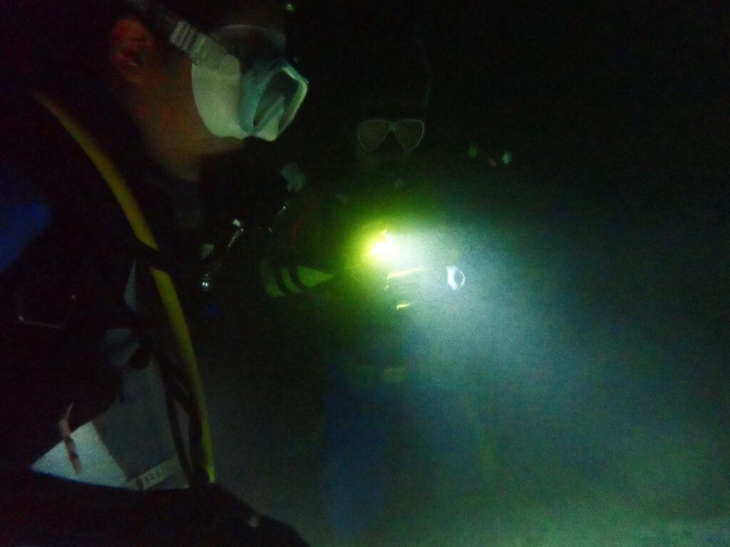 土肥ダイビング 通り崎ビーチ 専修大学スキンダイビングクラブCORAL