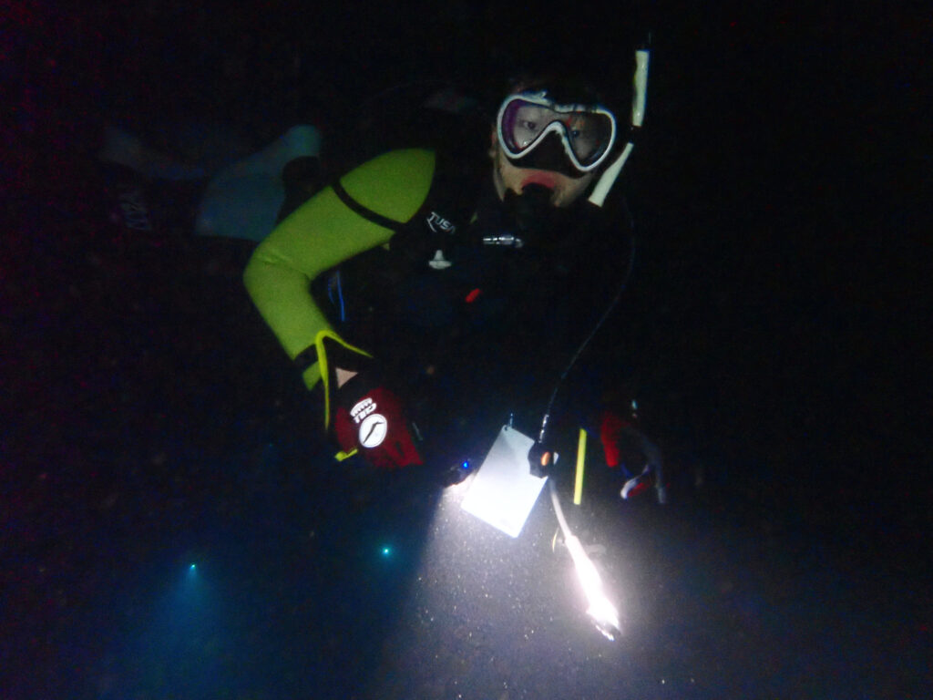 土肥ダイビング 通り崎ビーチ 専修大学スキンダイビングクラブCORAL