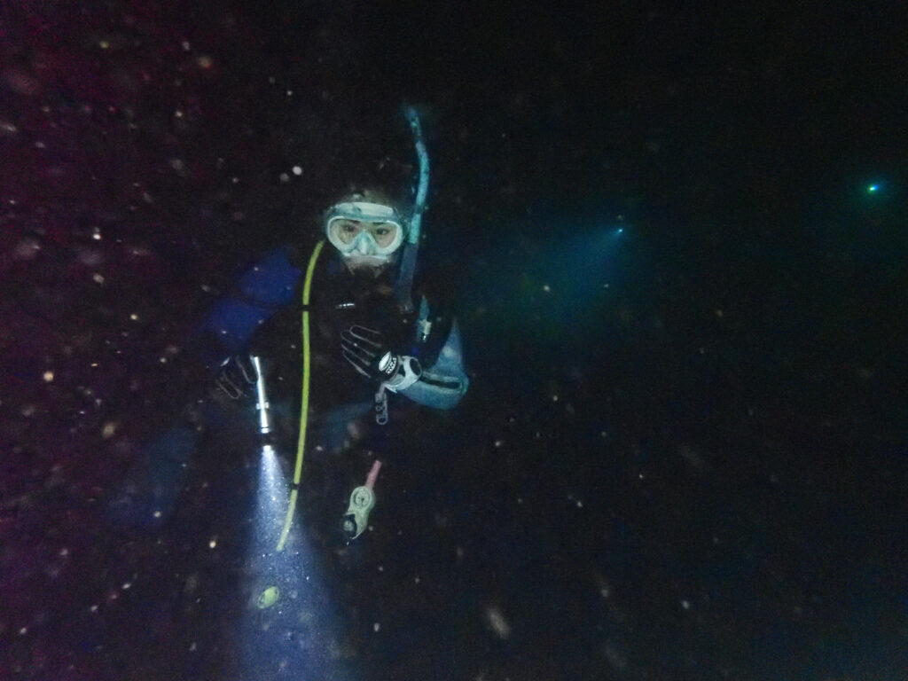 土肥ダイビング 通り崎ビーチ 専修大学スキンダイビングクラブCORAL